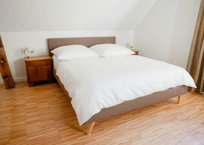 In The Uckermark Nature Park